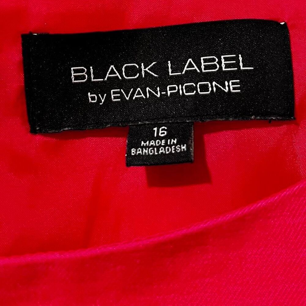 BLACK LABEL BY EVAN-PICONE HOT PINK/RED SIZE 16 sleeveless dress - Picture 3 of 8